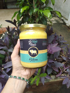 Desi cow ghee - The real and pure ghee of India