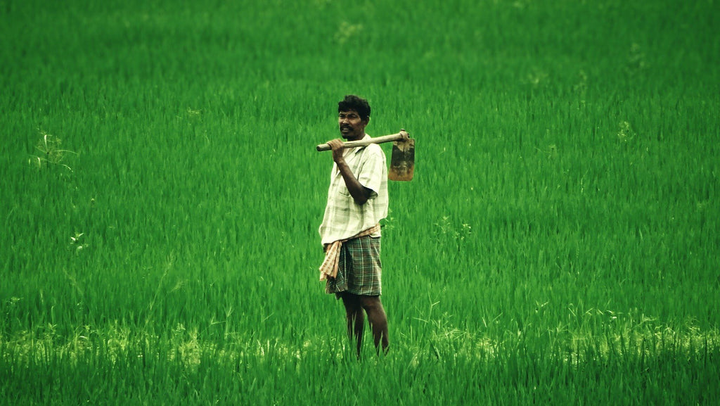 Gokirti Ghee - The bridge between rural and urban India